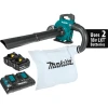 Makita XBU04PTV 18V X2 (36V) LXT Lithium‑Ion Blower Kit