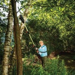 DR Power Equipment DR Power 524141 62V Battery Powered Pole Saw -Mi-T-M store 62vpolesaw 2 1